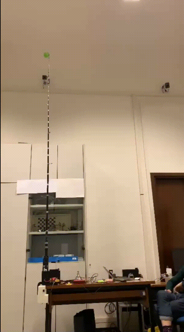 GIF 4