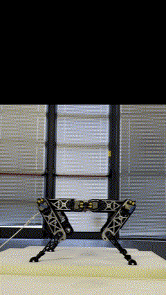 GIF 2